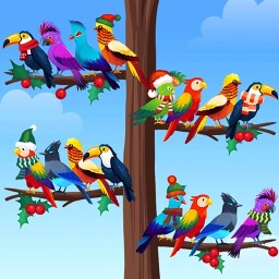 Bird Sort - Color Puzzle