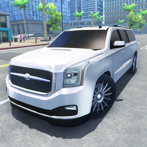 Driving Academy Car Simulator