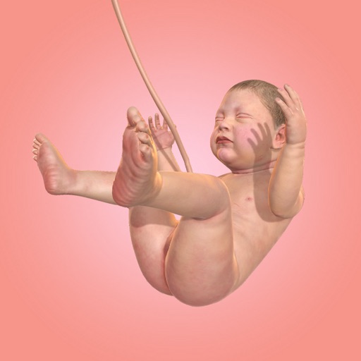أيقونة Idle 9 Months