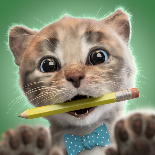 Little Kitten