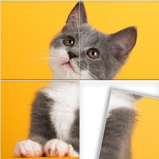 Swappy: Jigsaw Puzzles
